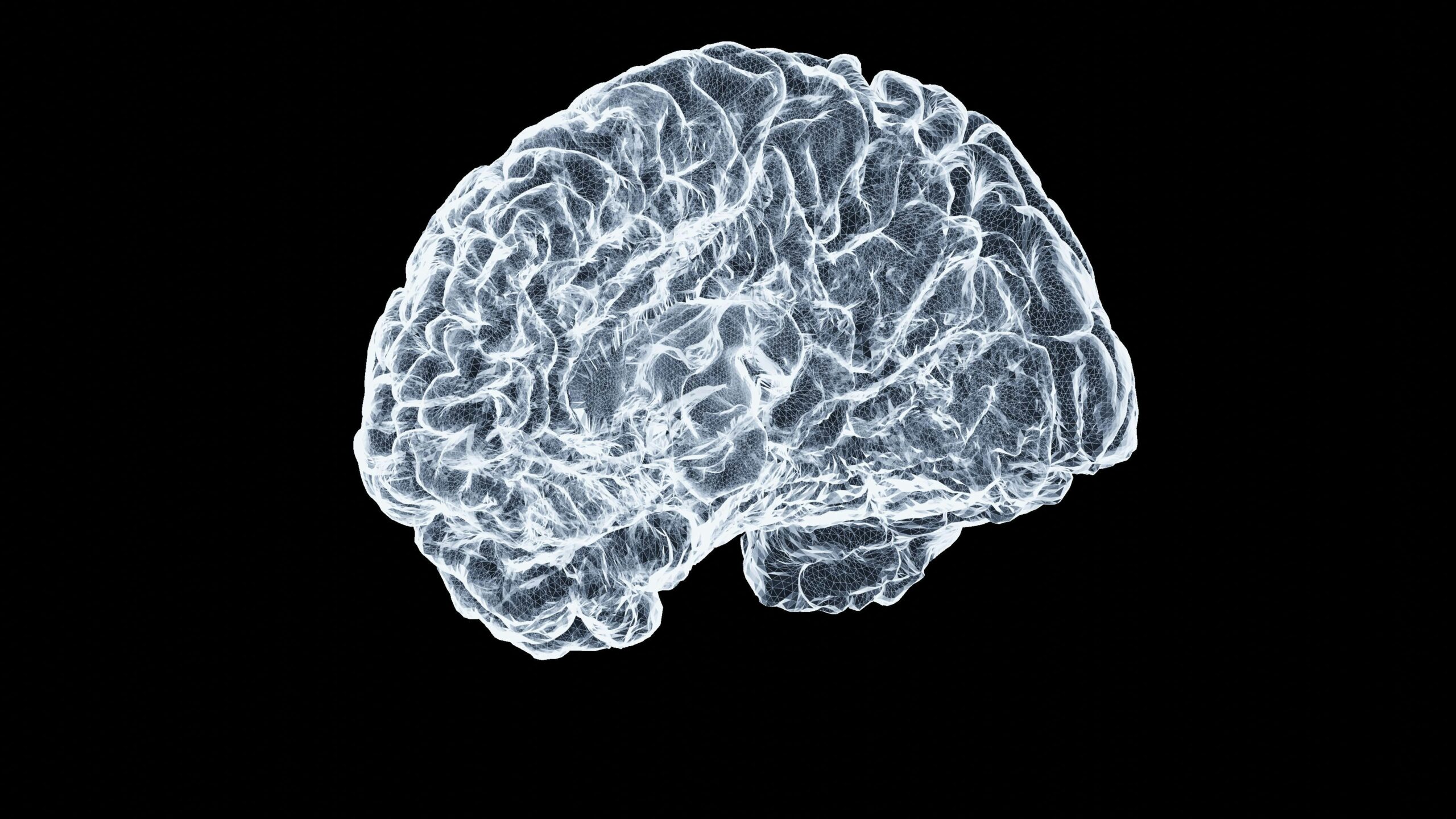 The Future of the Brain in IT